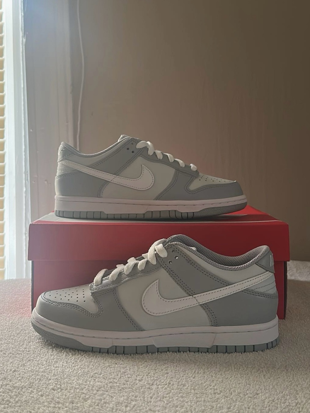 Nike Dunk Low Boy’s Sneakers